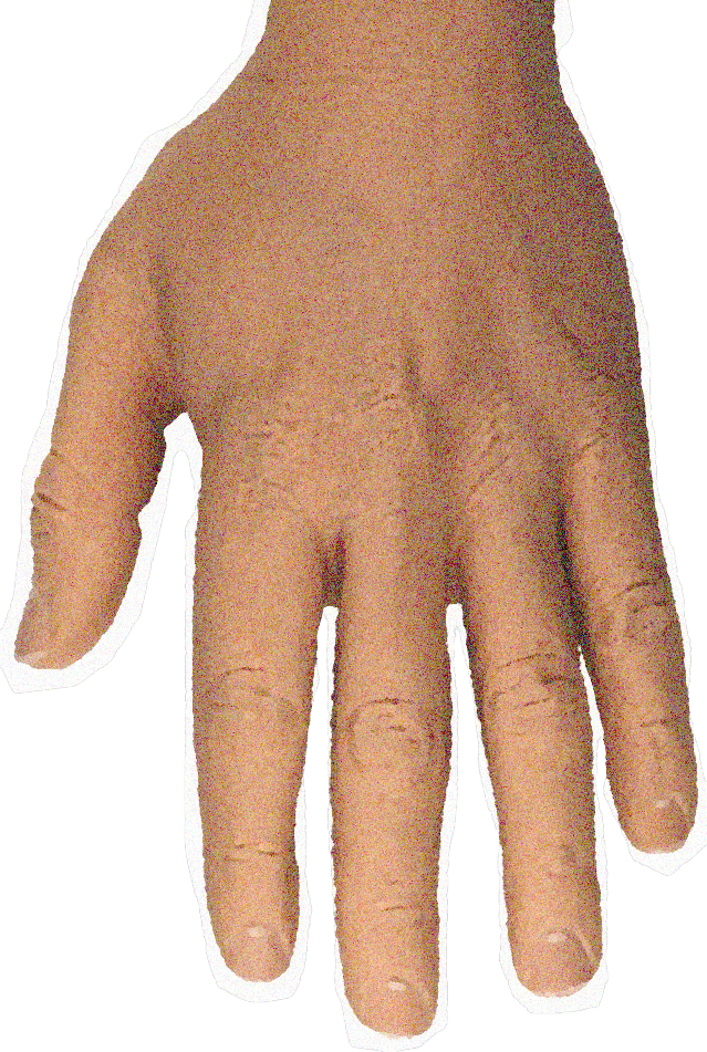 Hand